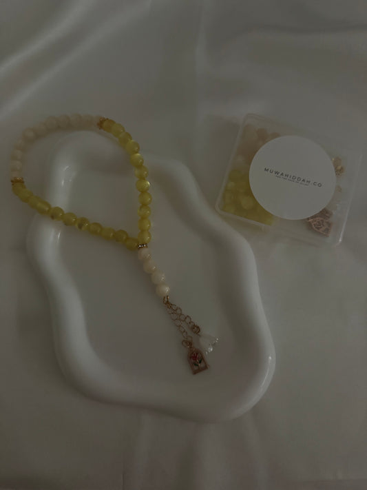 Beauty & beast kit