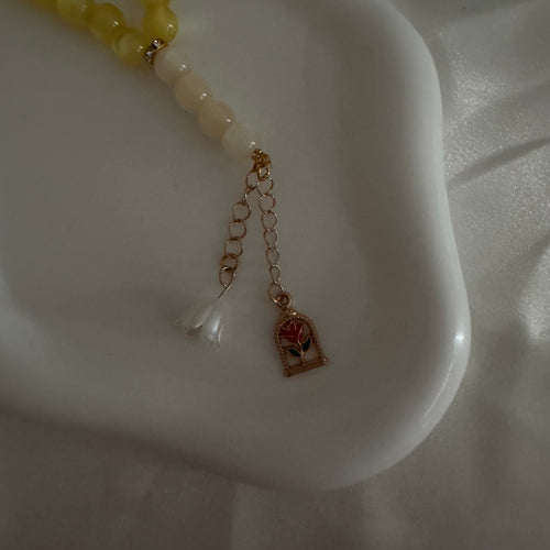 Beauty & beast kit
